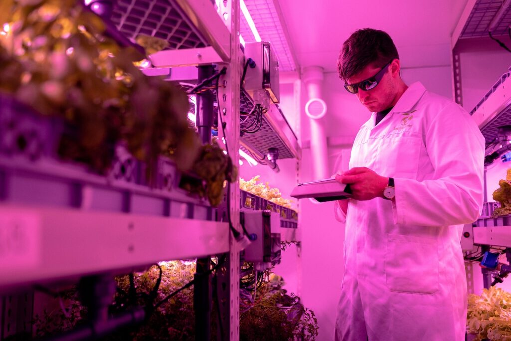 engineer, engineering, pink, indoorfarm, farming, agriculture, environment, lettuce, crops, uv, sunglasses, science, research, farm, pink science, pink farm, pink research